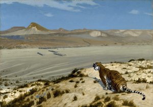 Tiger auf der Lauer